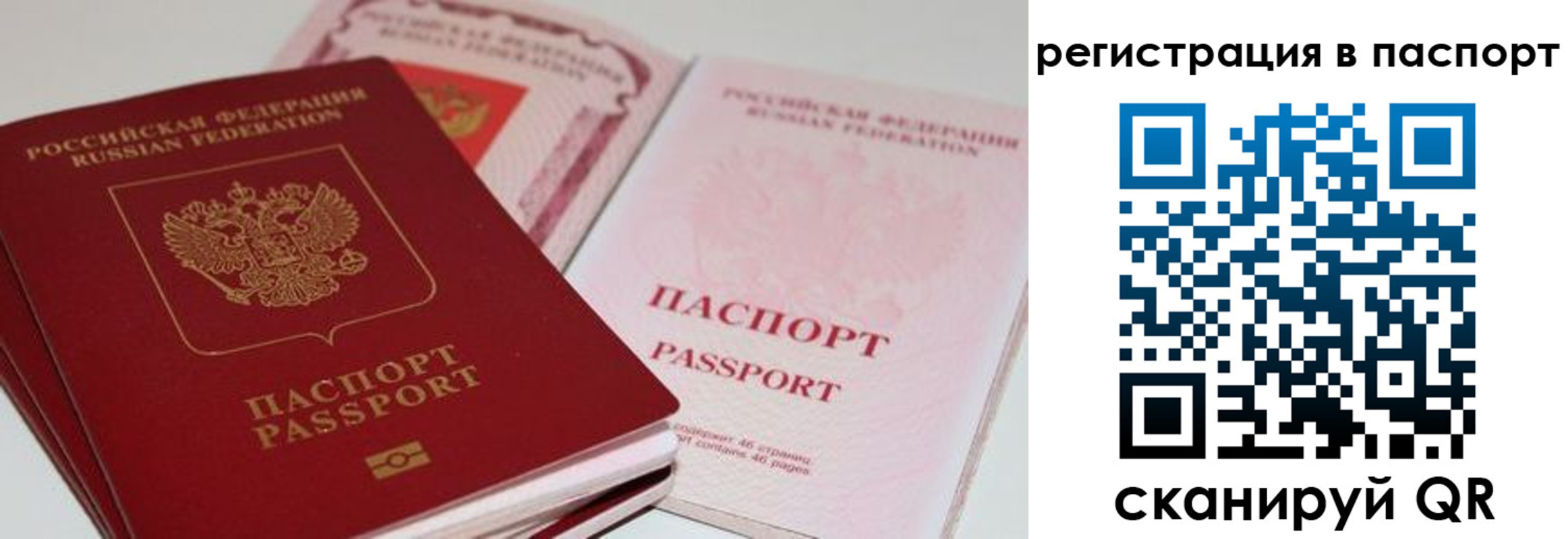 временная регистрация недорого в Невеле